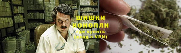 ПСИЛОЦИБИНОВЫЕ ГРИБЫ Абаза