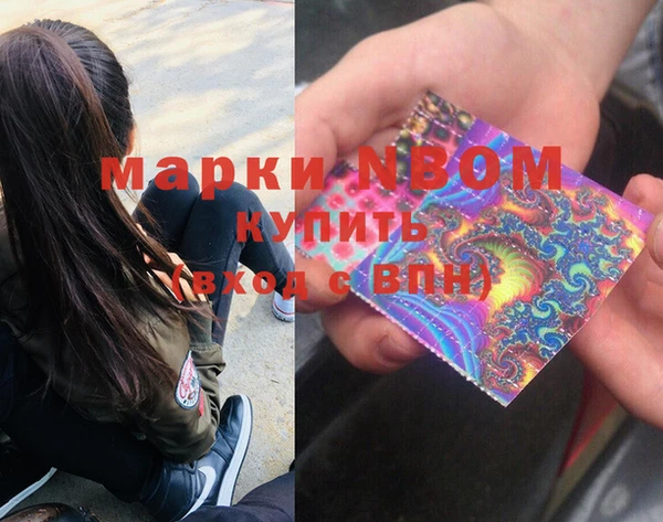 стаф Абинск