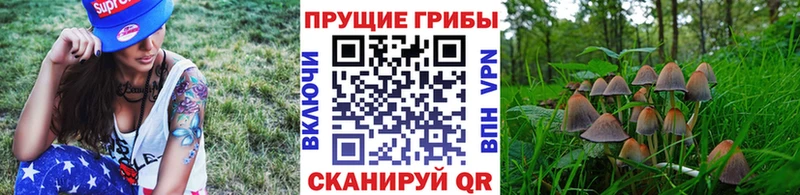 наркошоп  Углегорск  Галлюциногенные грибы ЛСД 