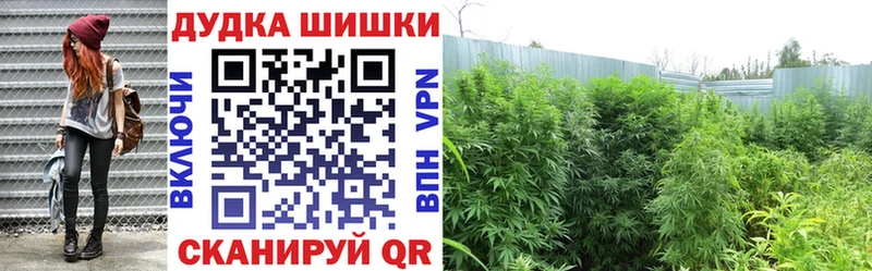 Бошки Шишки семена  Углегорск 
